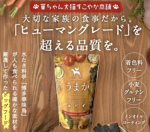 安心犬活